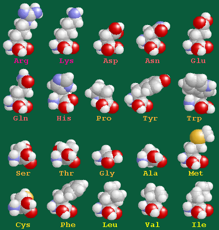 �v���Z���^,�A�~�m�_,����,�^�[���I�[�o�[,��