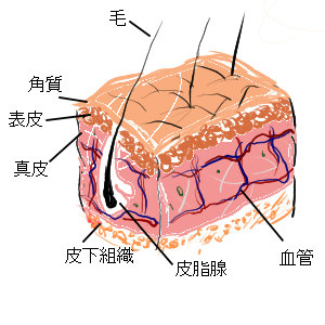 �畆,�\��,��,�\��,�p��