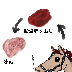 �v���Z���^,����,����,�ٔ�,�L������